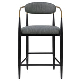 Tina Metal Counter Height Bar Stool with Upholstered Back and Seat Dark Grey (Set of 2)