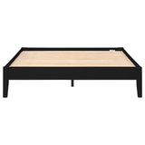 Hounslow Platform Queen Bed Black