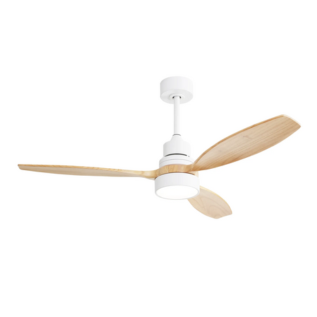 Ceiling Fan Light With 6 Speed Remote