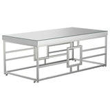 Dafina Geometric Frame Rectangular Coffee Table Chrome