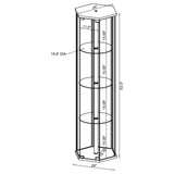 Zahavah 4-shelf Hexagon Shaped Curio Cabinet White and Clear