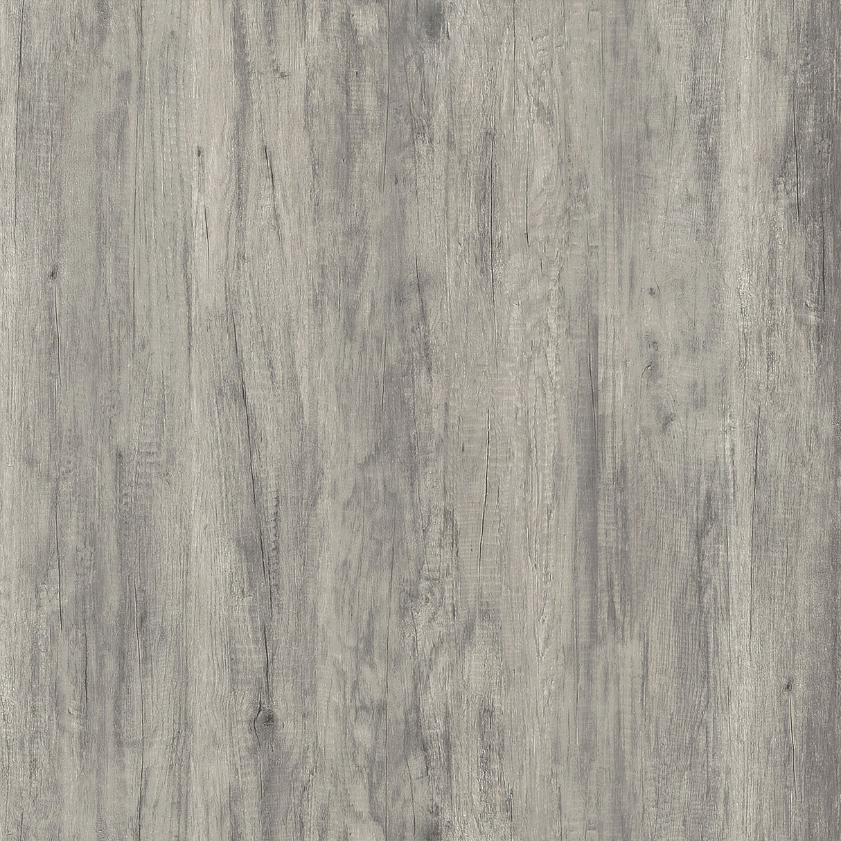 Enoch 2-door Accent Cabinet Grey Driftwood