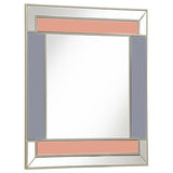 Braylin Rectangular Wall Mirror Champagne and Grey