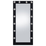 Zayan Full Length Floor Mirror With Lighting Black High Gloss