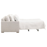 Essentials For Living Stitch & Hand - Upholstery Clara 86" Slim Arm Queen Sleeper Sofa 6620-3S.STO-BSK/NG