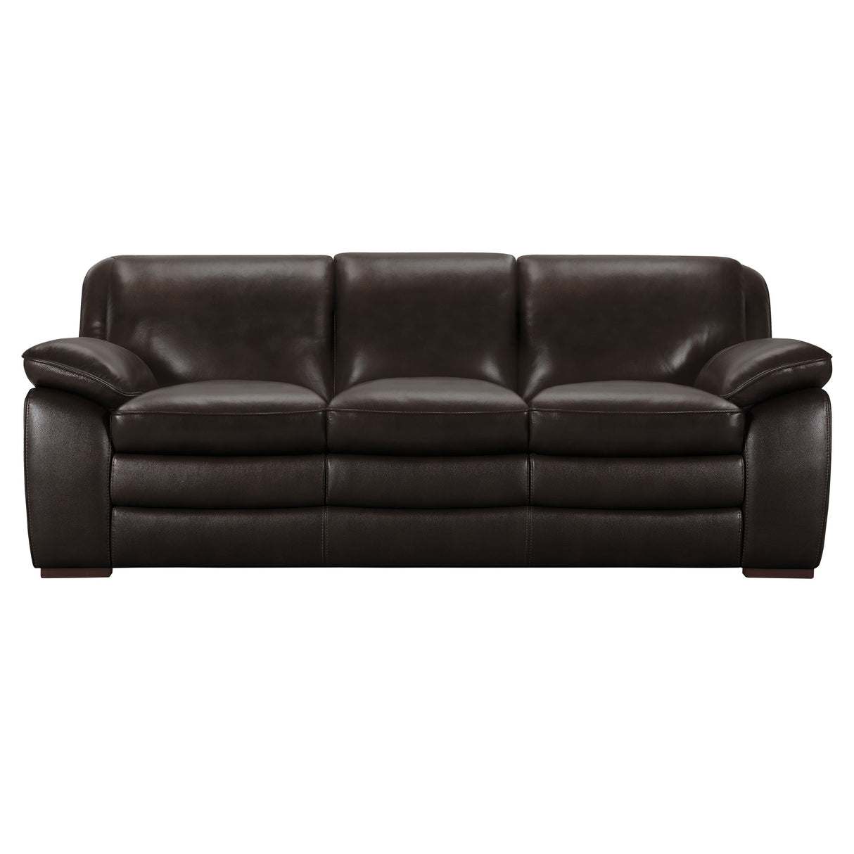 Armen Living Zanna Wood/Leather 100% Cowhide Leather Sofa