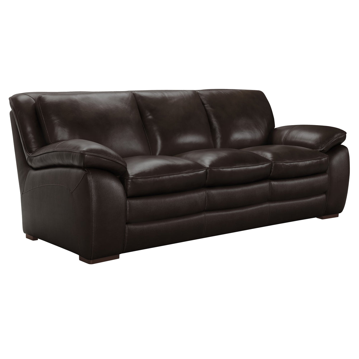 Armen Living Zanna Wood/Leather 100% Cowhide Leather Sofa