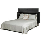 Arason - Creden-ZzZ Essex Black Cabinet Queen Murphy Bed with Mattress and USB Port