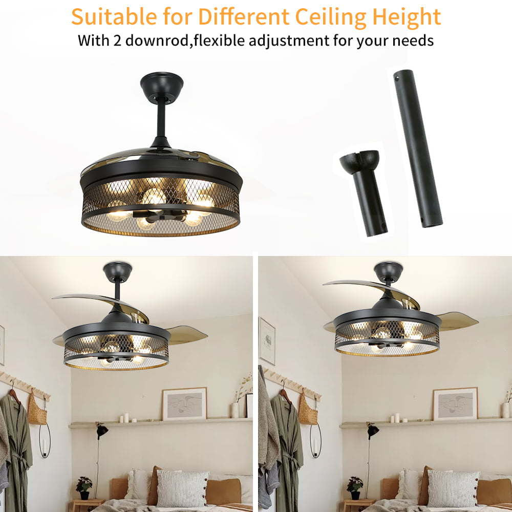 Ceiling Fan with Light