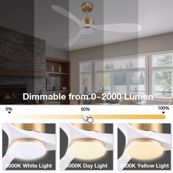 52' Smart Ceiling Fans with Lights Remote