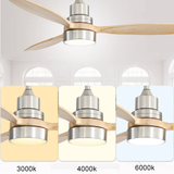 Low Profile LED Indoor Ceiling Fan