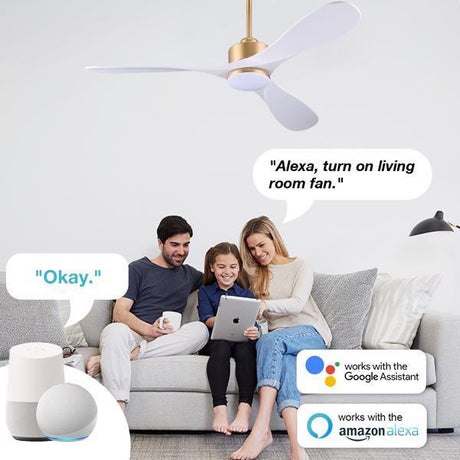 52' Smart Ceiling Fans with Lights Remote